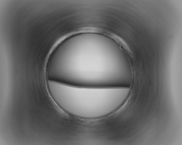 X0000114731192200910211056