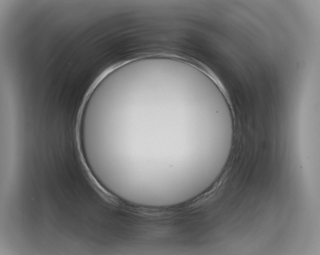 X0000114731195200910211056