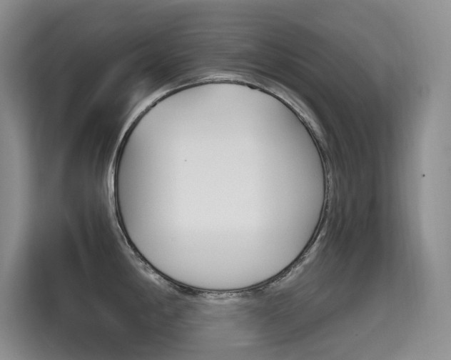 X0000114731198200910211056