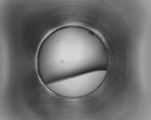 X0000114731199200910211056