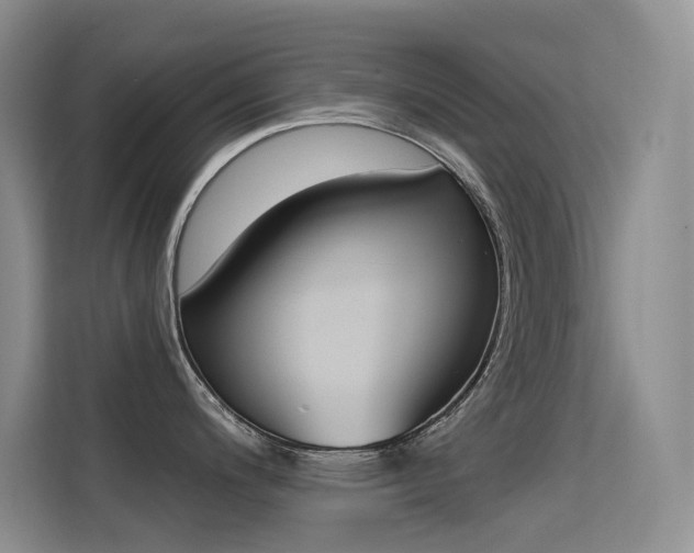 X0000114731200200910211056