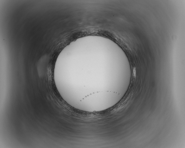 X0000114731203200910211056