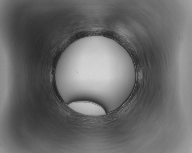 X0000114731204200910211056