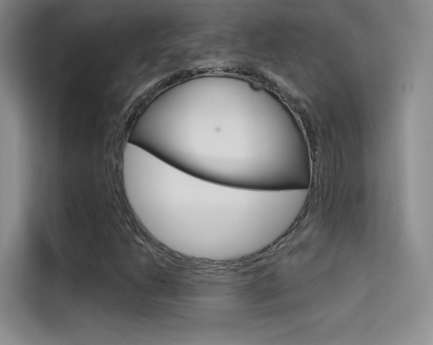 X0000114731206200910211056