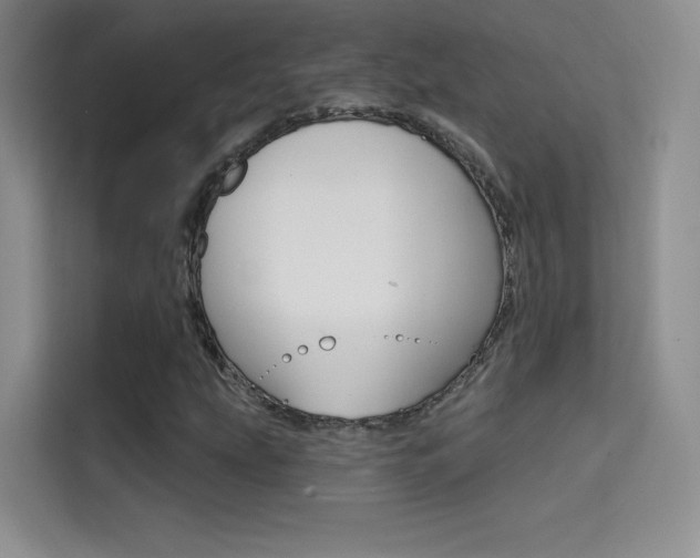 X0000114731207200910211056