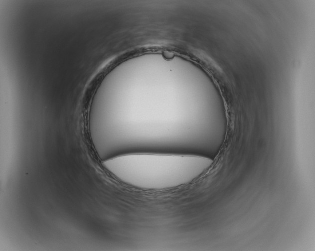 X0000114731208200910211056