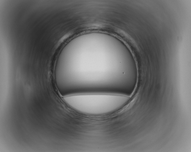 X0000114731210200910211056