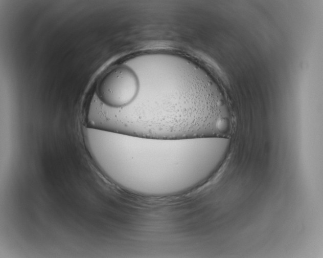 X0000114731212200910211056