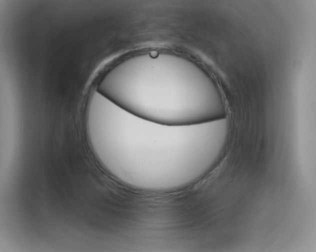 X0000114731214200910211056