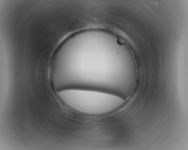 X0000114731220200910211056