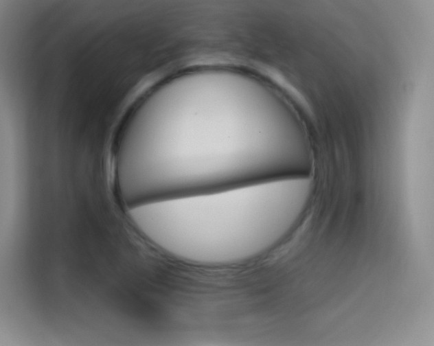 X0000114731221200910211056