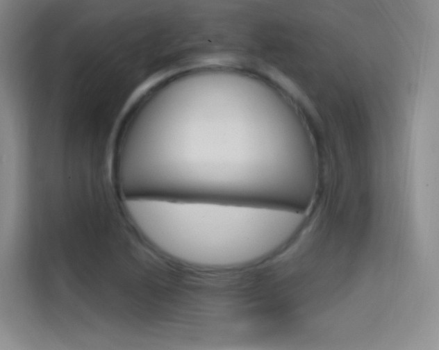 X0000114731222200910211056