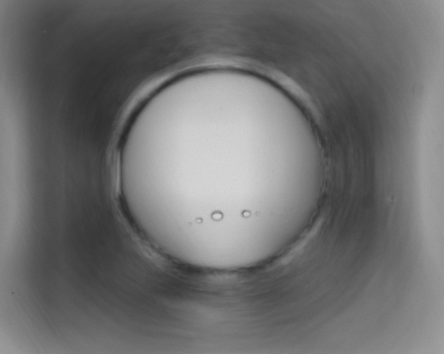 X0000114731223200910211056