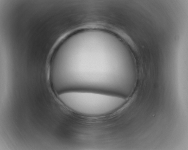 X0000114731224200910211056