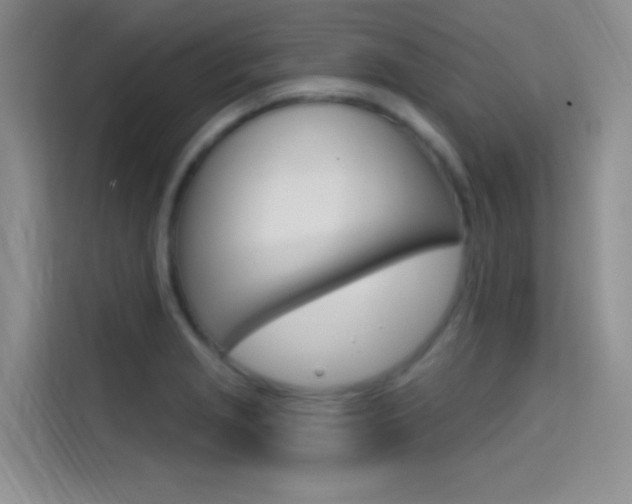X0000114731229200910211056