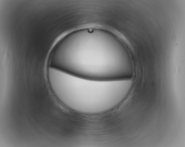 X0000114731230200910211056