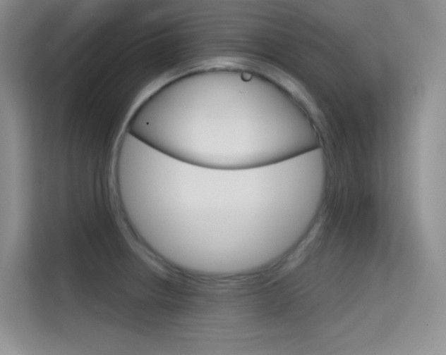 X0000114731234200910211056