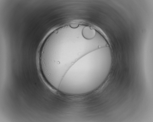 X0000114731235200910211056