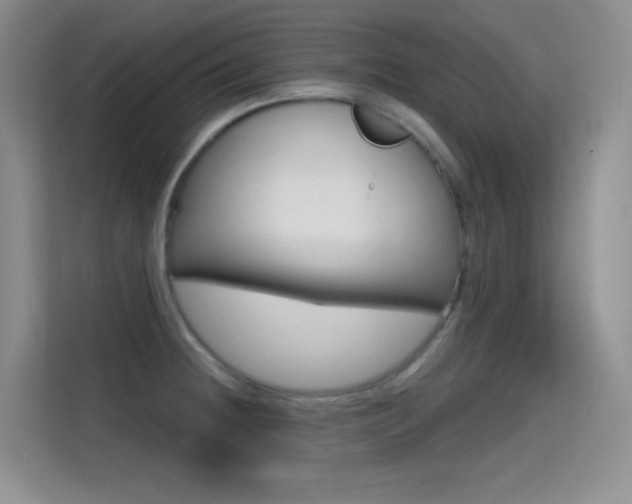 X0000114731236200910211056