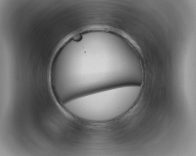X0000114731237200910211056