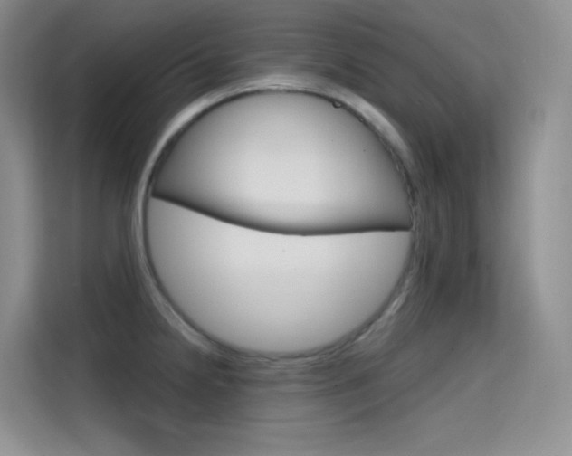 X0000114731238200910211056