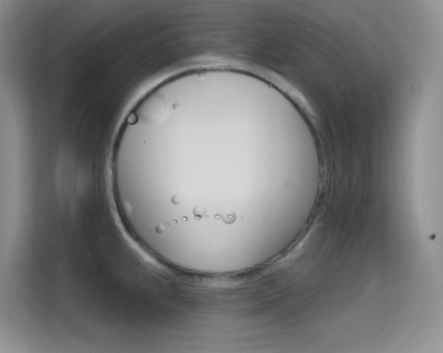 X0000114731239200910211056