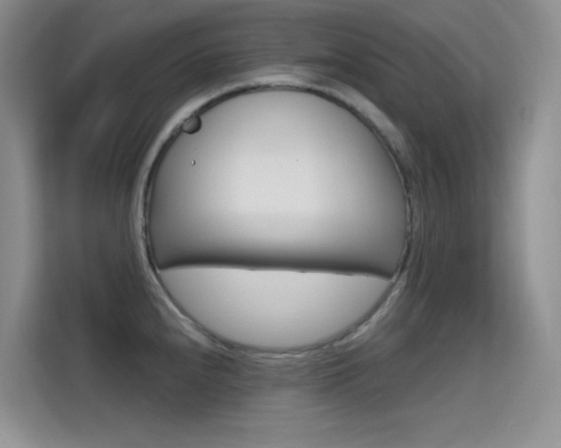 X0000114731240200910211056