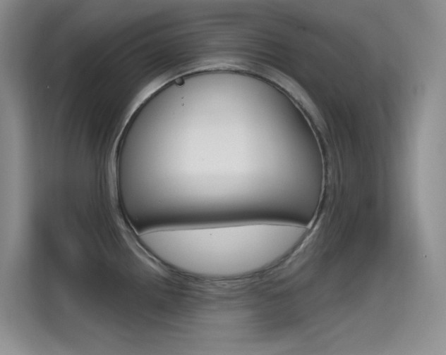 X0000114731242200910211056