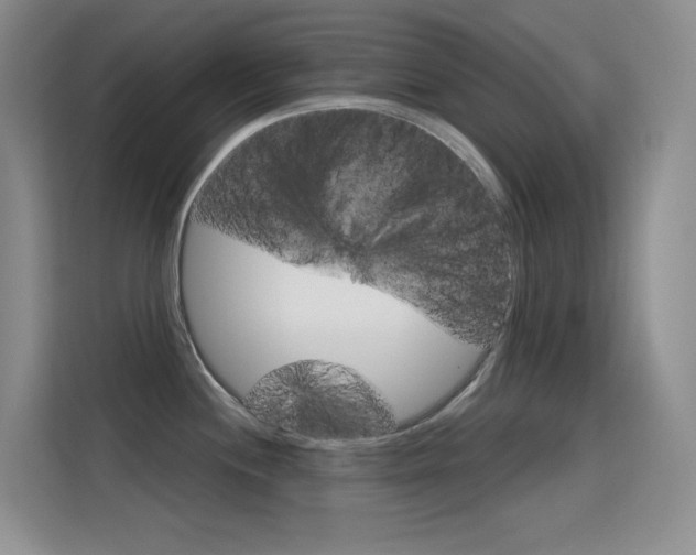 X0000114731244200910211056