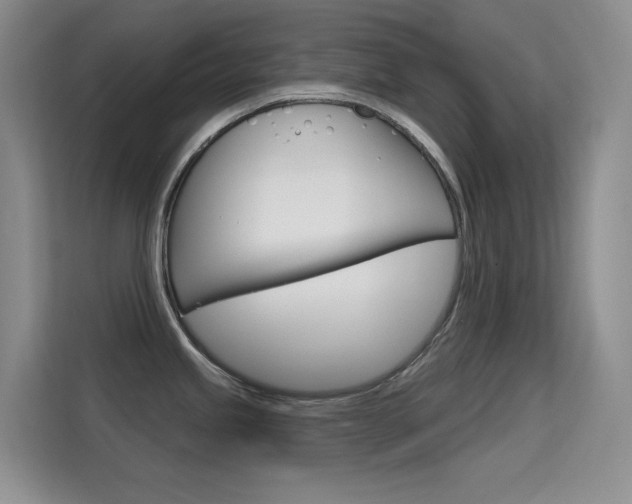 X0000114731245200910211056