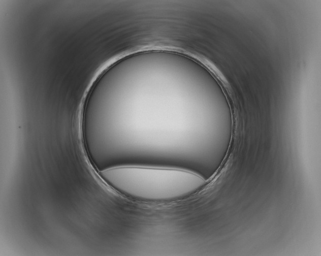 X0000114731246200910211056