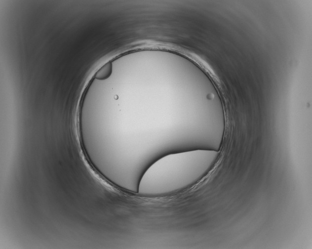 X0000114731247200910211056