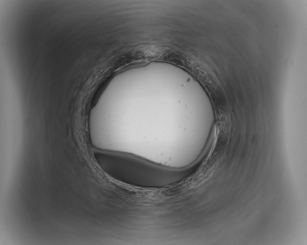 X0000114731249200910211056