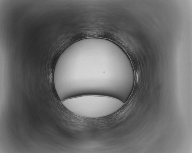 X0000114731251200910211056