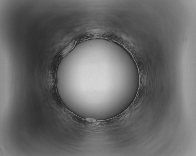 X0000114731253200910211056