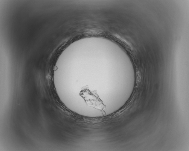 X0000114731254200910211056