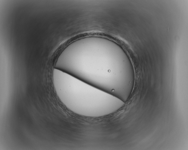 X0000114731255200910211056