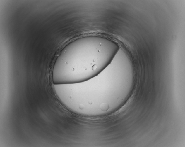 X0000114731257200910211056