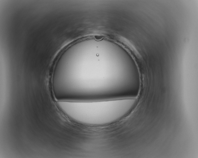 X0000114731260200910211055