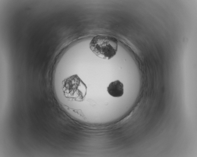 X0000114731261200910211055