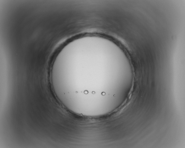 X0000114731263200910211055