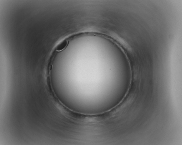 X0000114731264200910211055