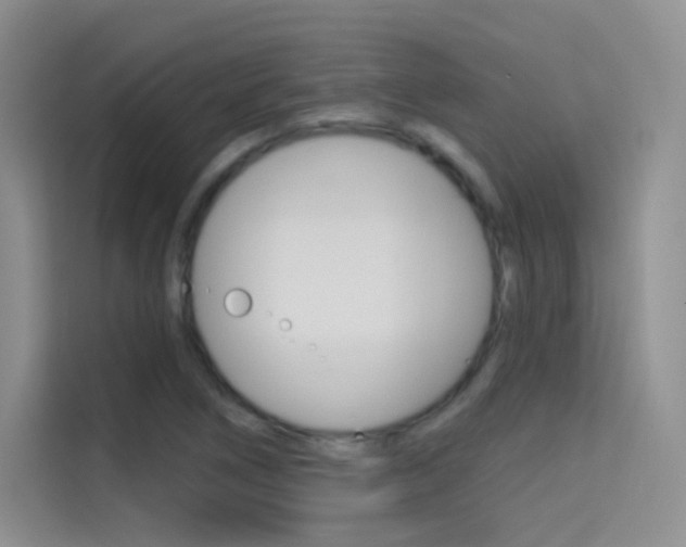 X0000114731266200910211055