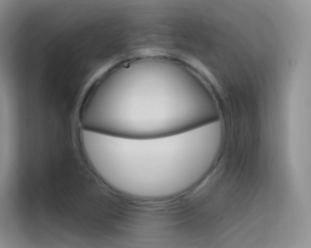 X0000114731269200910211055