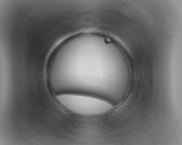 X0000114731270200910211055