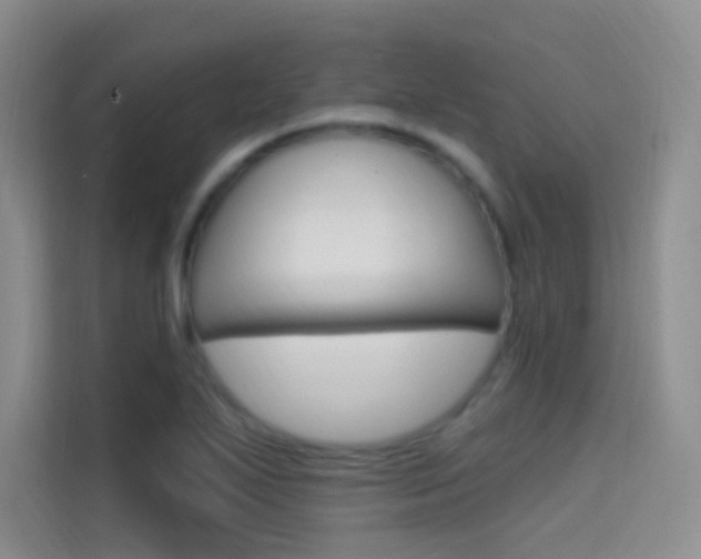 X0000114731271200910211055