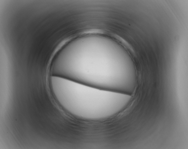 X0000114731274200910211055