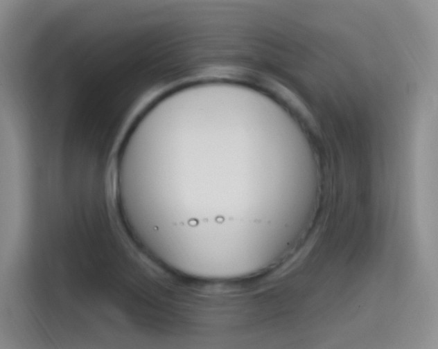 X0000114731275200910211055