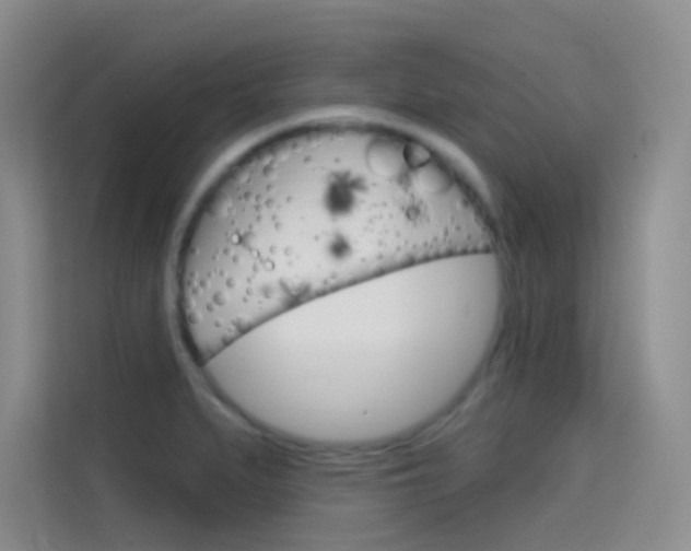 X0000114731279200910211055
