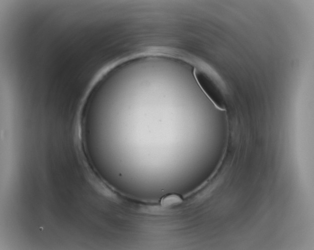X0000114731280200910211055